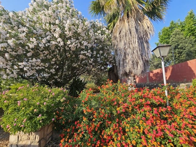 3 soverom Finca/Herregård til salgs i Canals med svømmebasseng - € 249 000 (Ref: 10049625)