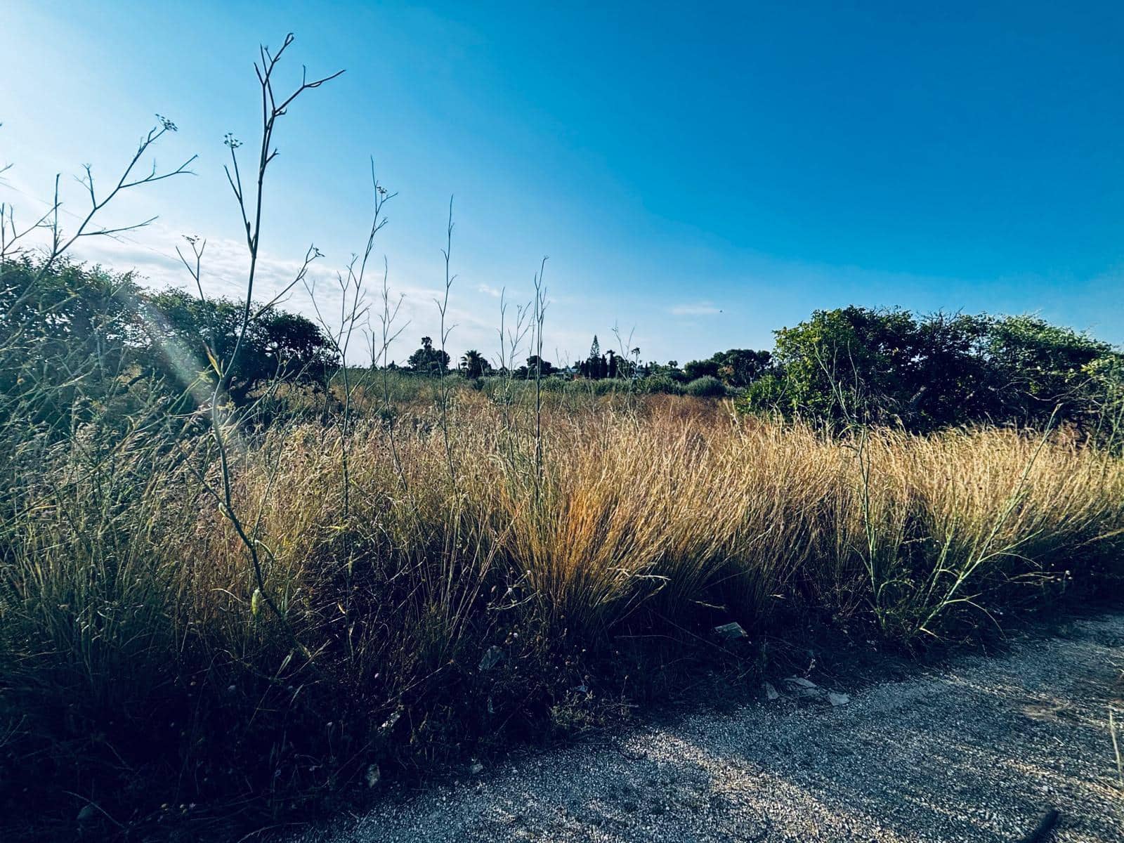Terreno Non Edificato in vendita in Denia - 48.000 € (Rif: 10183303)
