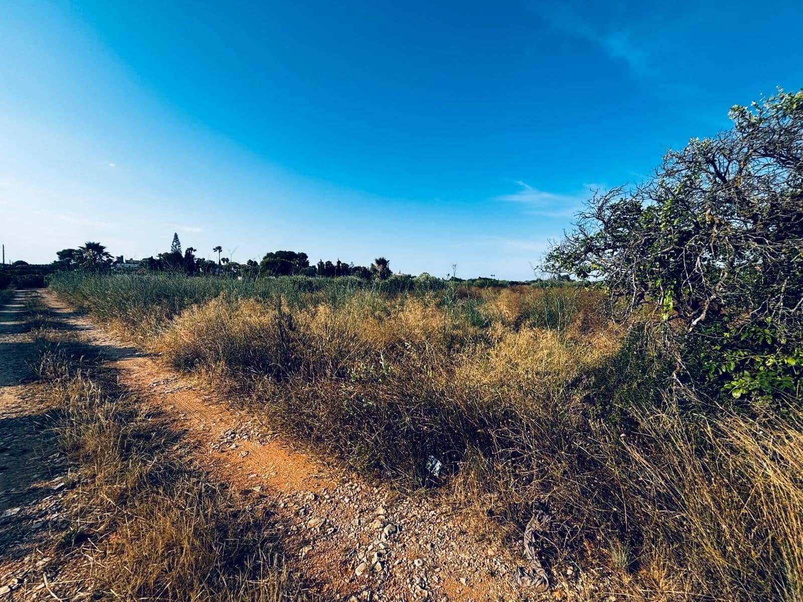 Terreno Non Edificato in vendita in Denia - 48.000 € (Rif: 10183303)