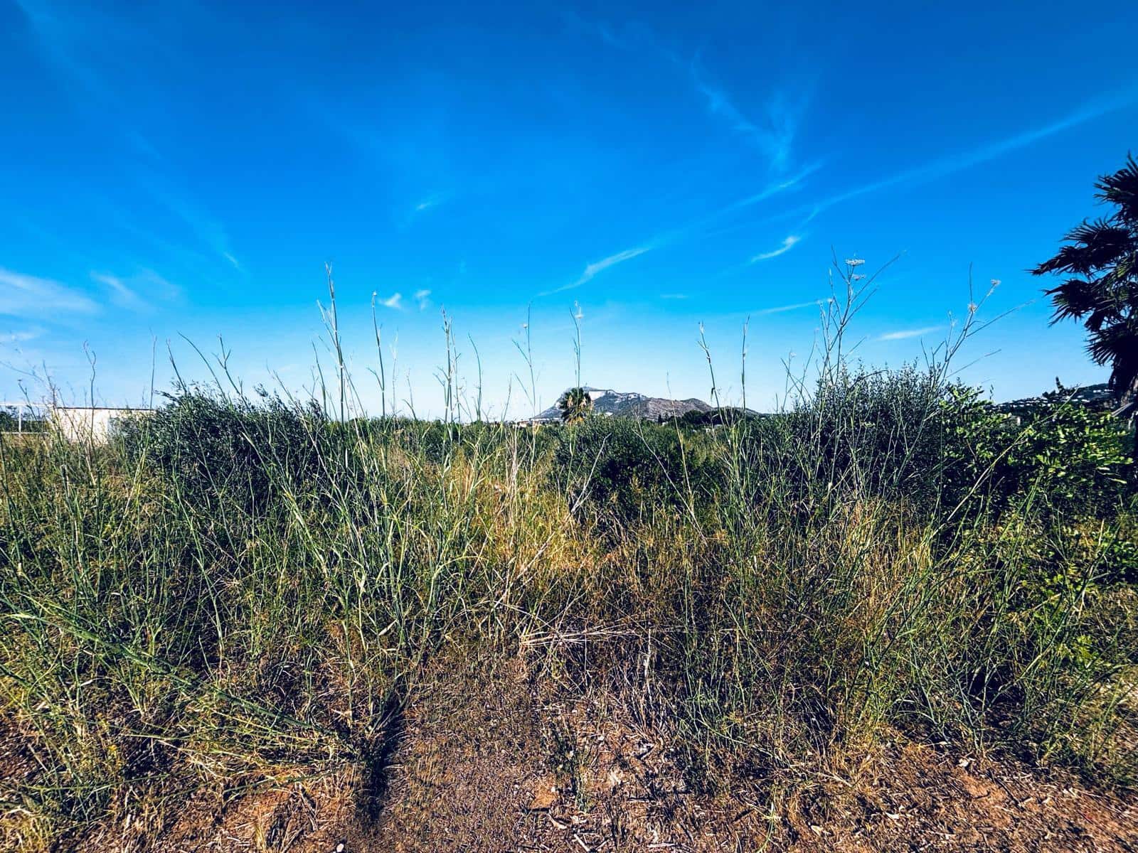 Terreno Non Edificato in vendita in Denia - 48.000 € (Rif: 10183303)
