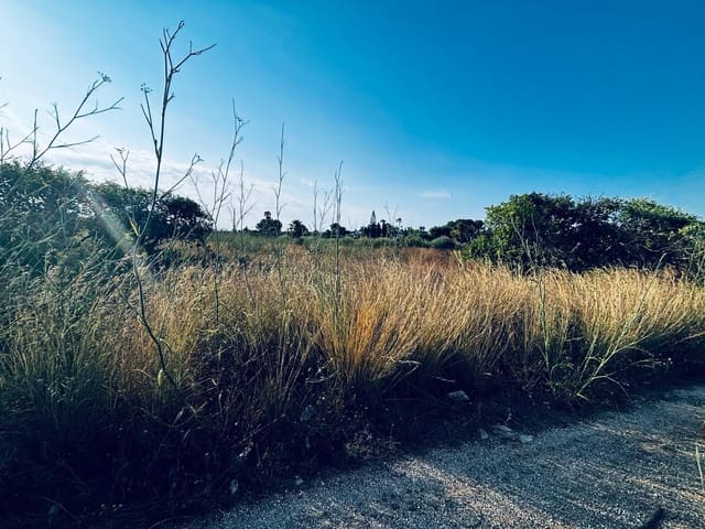 Terreno Non Edificato in vendita in La Xara - La Sella, Dénia - 68.000 € (Rif: 10183304)