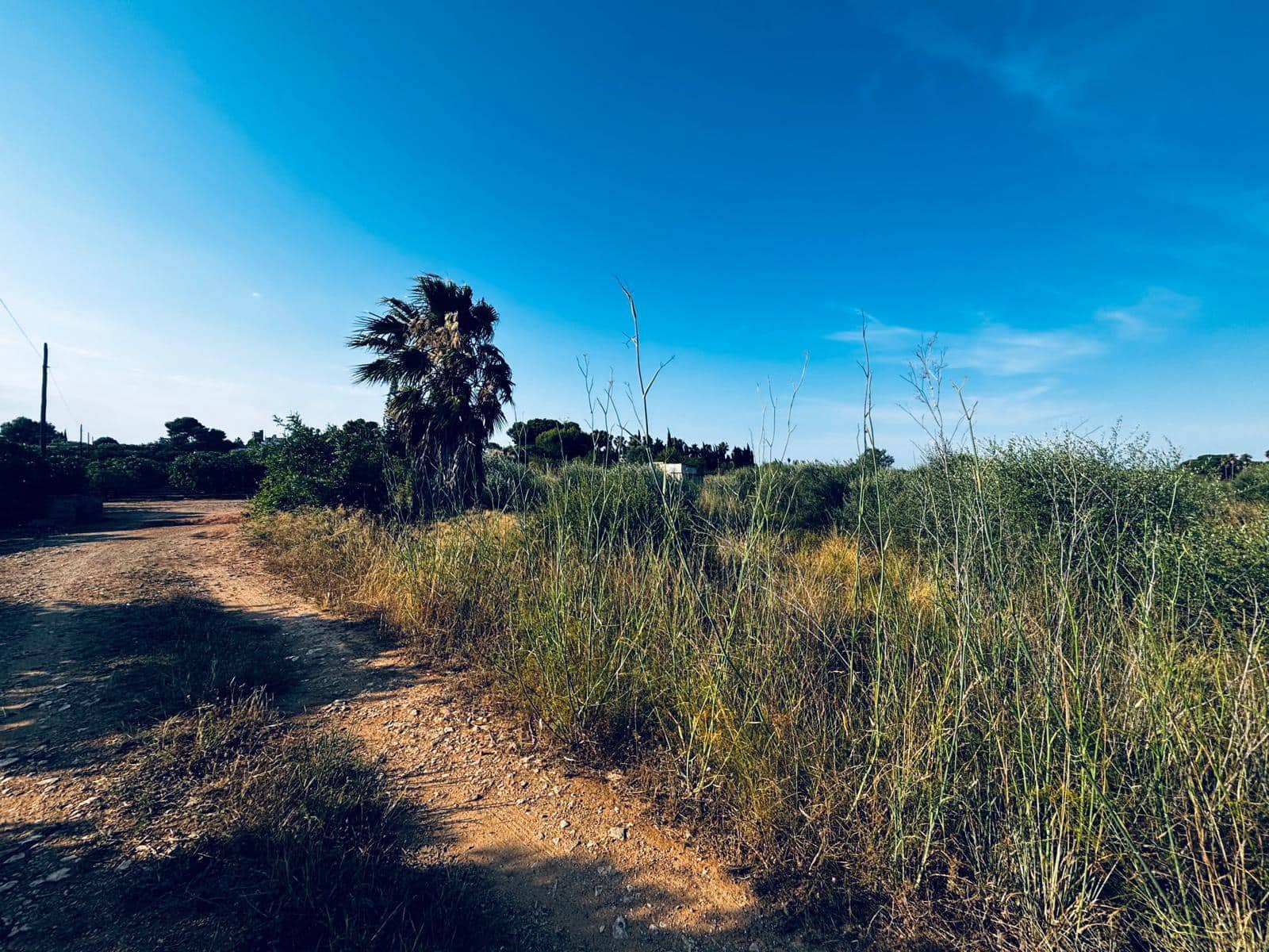 Terreno/Finca Rústica en Dénia en venta - 68.000 € (Ref: 10183304)