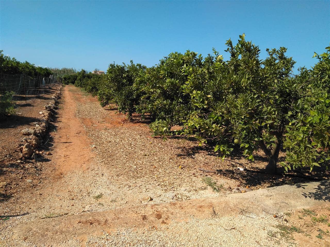 Grond te koop in Ondara - € 50.000 (Ref: 3621176)