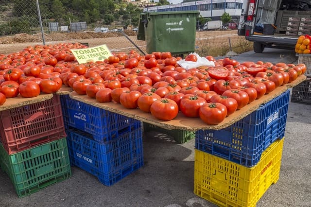 3 chambre Villa/Maison à vendre à Pedreguer avec piscine - 645 000 € (Ref: 5897371)