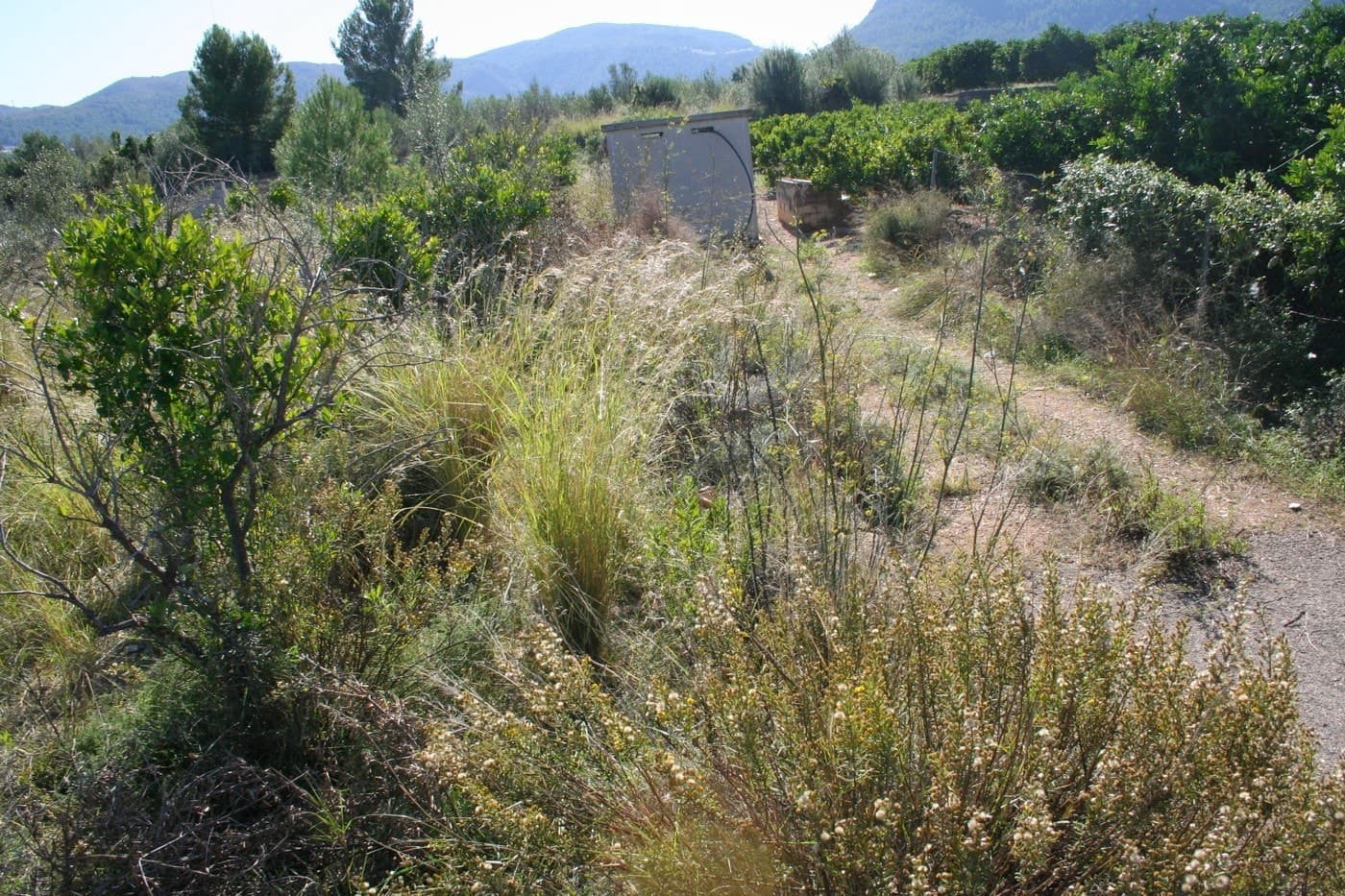 Area Edificabile in vendita in Orba - 160.000 € (Rif: 6204335)