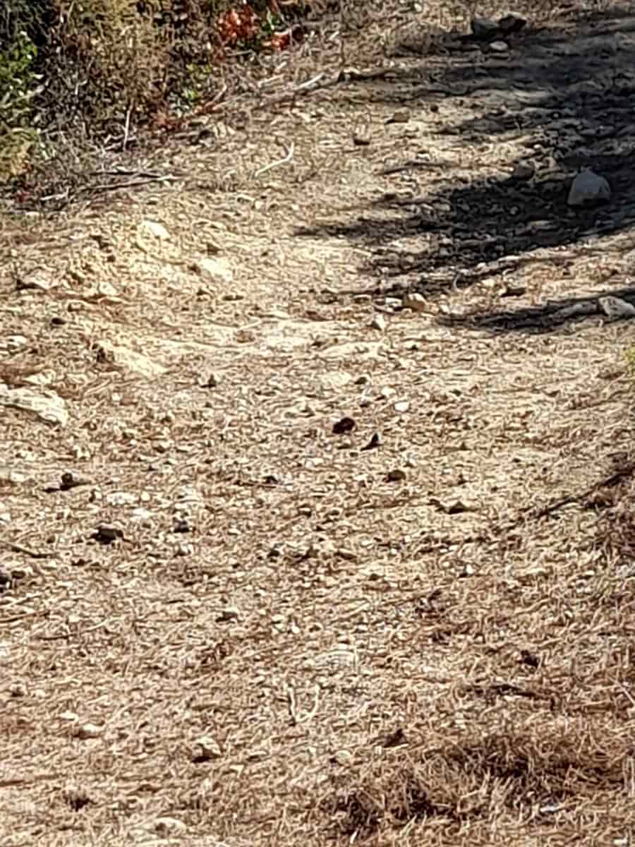 Grunde uden byggetilladelser til salg i Benidoleig - € 30.000 (Ref: 8374307)