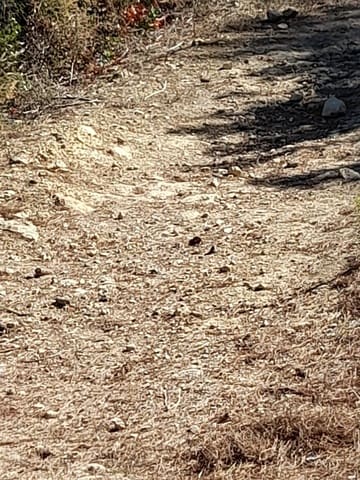 Undeveloped Land for sale in Benidoleig - € 30,000 (Ref: 8374307)