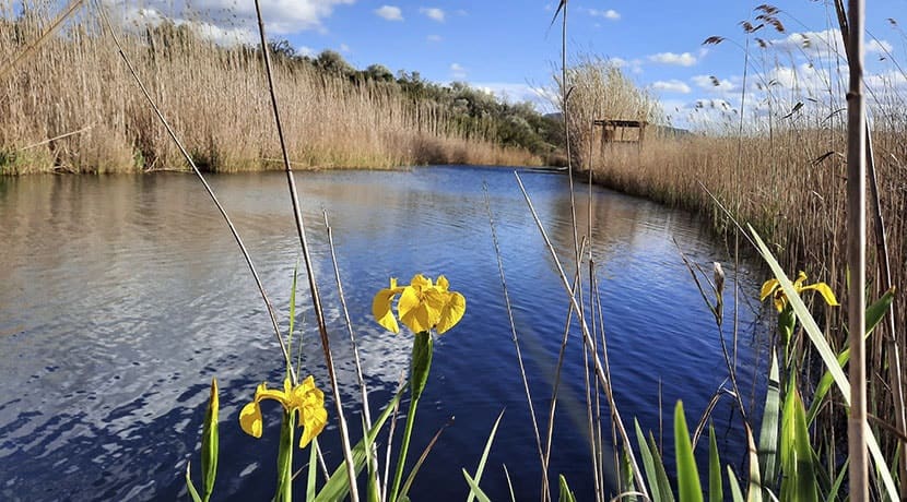 3 sovrum Hus till salu i Denia med pool - 395 000 € (Ref: 8637297)