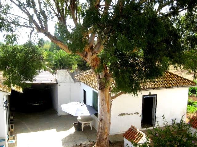 6 slaapkamer Finca/Landhuis te koop in Denia met zwembad - € 1.000.000 (Ref: 8842397)