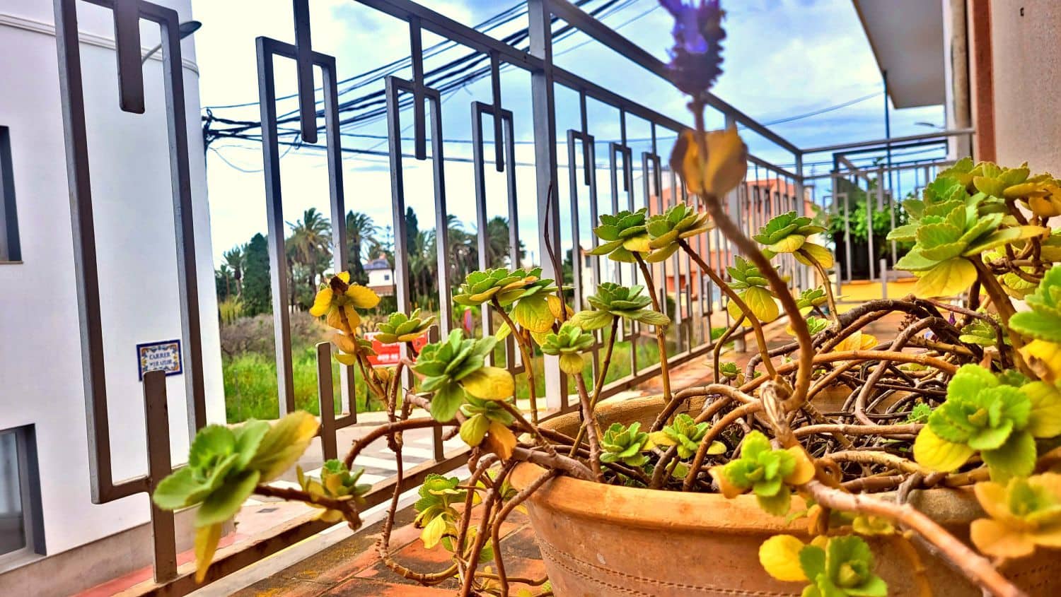 4 soverom Hus til salgs i El Vergel / Verger - € 238 613 (Ref: 8949747)