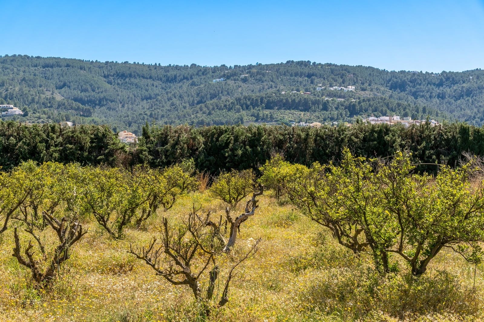 5 soveværelse Finca/Landehus til salg i Benidoleig med swimmingpool - € 1.495.000 (Ref: 9415073)