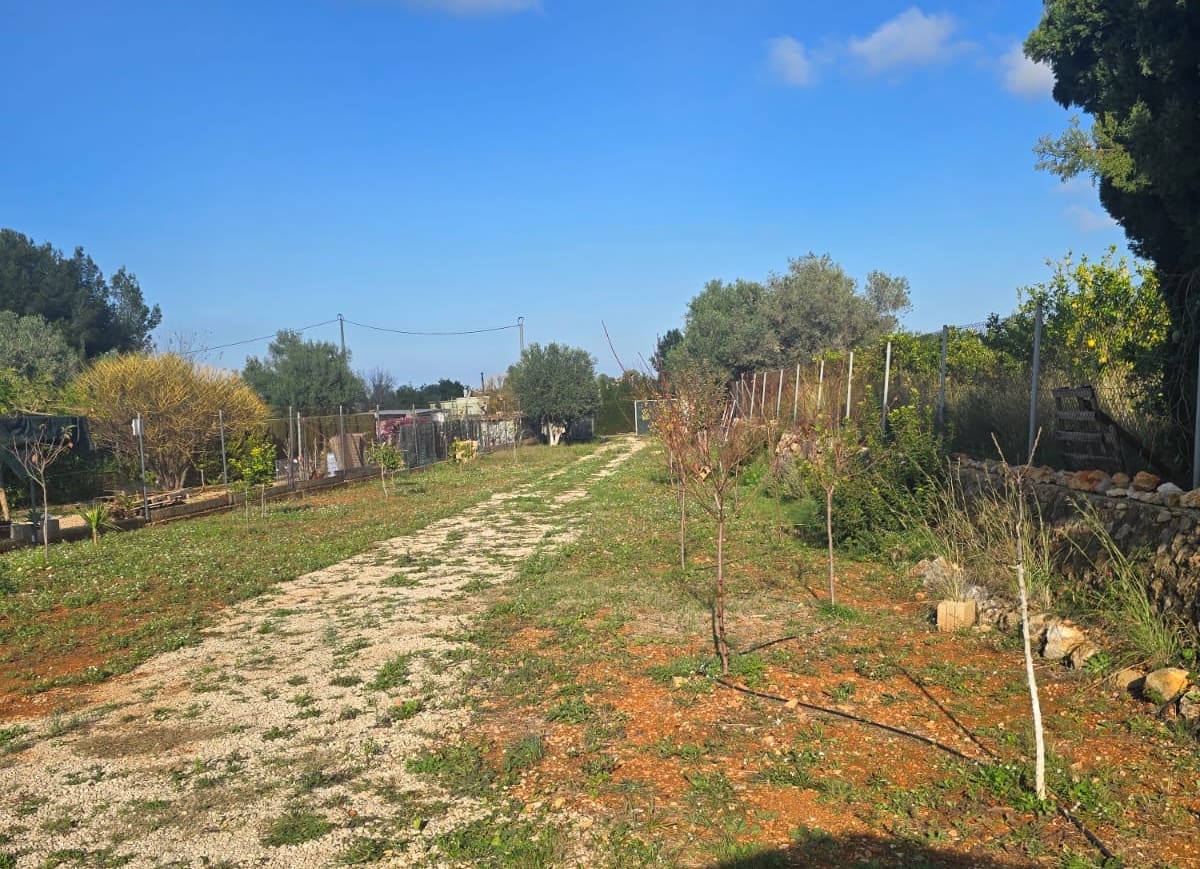 Grunde uden byggetilladelser til salg i La Sella - € 98.500 (Ref: 9450035)