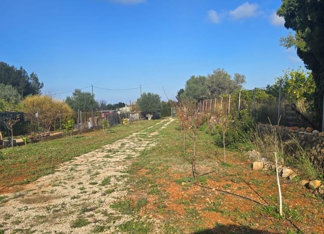 Mark till salu i La Sella - 98 500 € (Ref: 9450035)