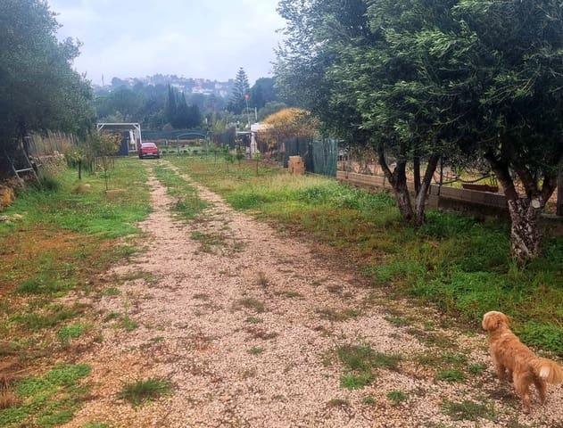 Mark till salu i La Sella - 98 500 € (Ref: 9450035)