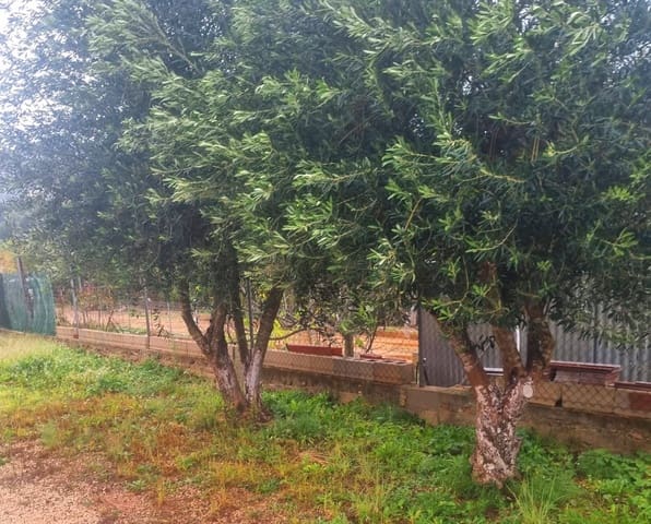 Mark till salu i La Sella - 98 500 € (Ref: 9450035)