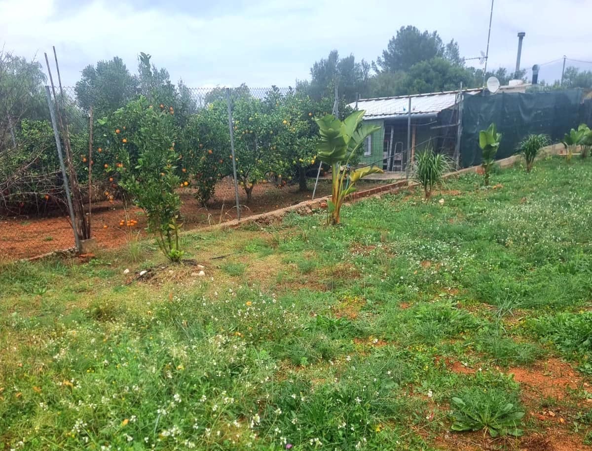 Terre non Aménagée à vendre à La Sella - 98 500 € (Ref: 9450035)