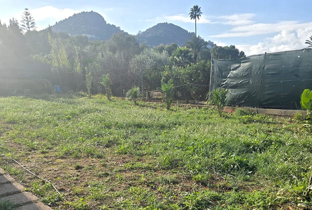 Terre non Aménagée à vendre à La Sella - 98 500 € (Ref: 9450035)