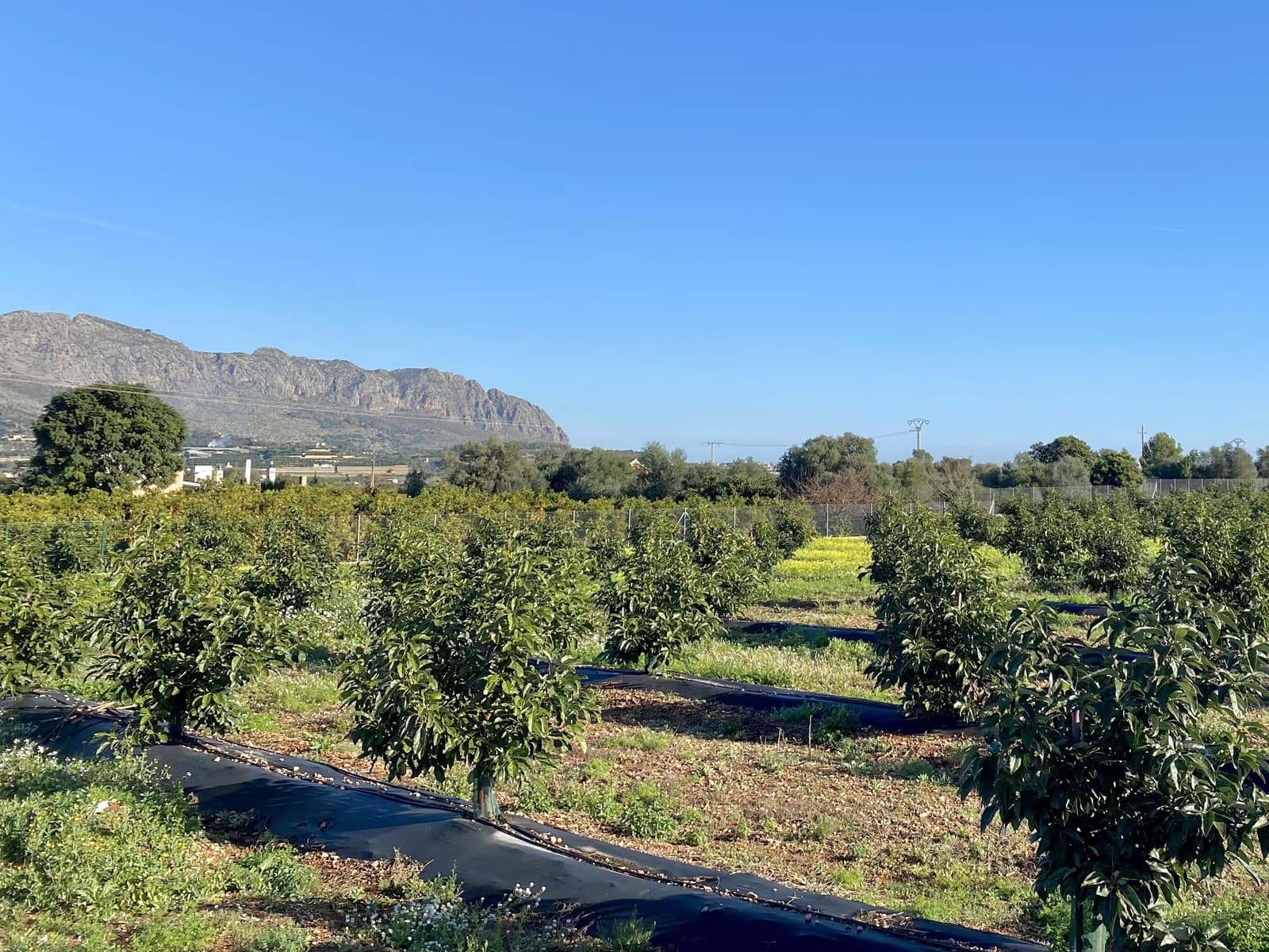 5 soverom Villa til salgs i Benidoleig med svømmebasseng - € 1 650 000 (Ref: 9610007)