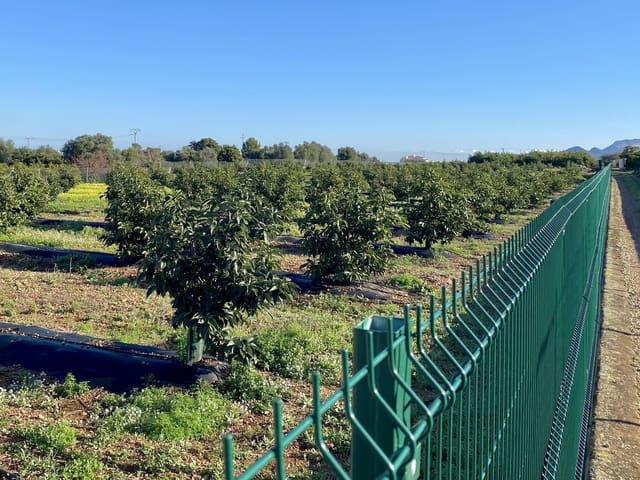 5 soverom Villa til salgs i Benidoleig med svømmebasseng - € 1 650 000 (Ref: 9610007)