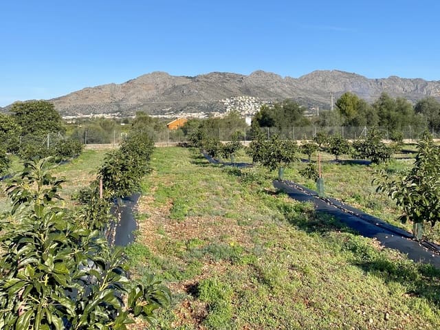 5 soverom Villa til salgs i Benidoleig med svømmebasseng - € 1 650 000 (Ref: 9610007)