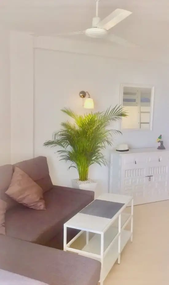 1 soverom Studio til leie i Torrox med garasje - € 650 (Ref: 10095759)