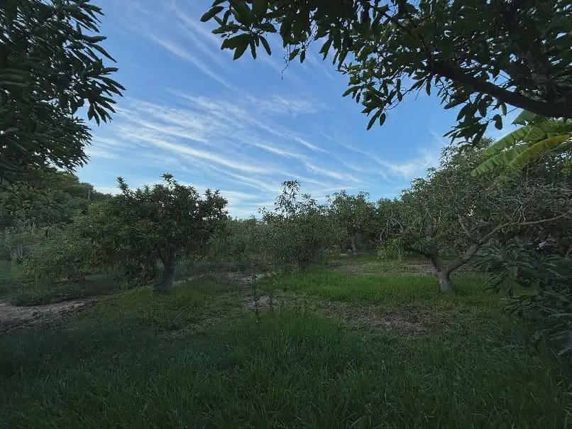 1 camera da letto Finca/Casa di Campagna in vendita in Nerja con piscina garage - 315.000 € (Rif: 10101405)
