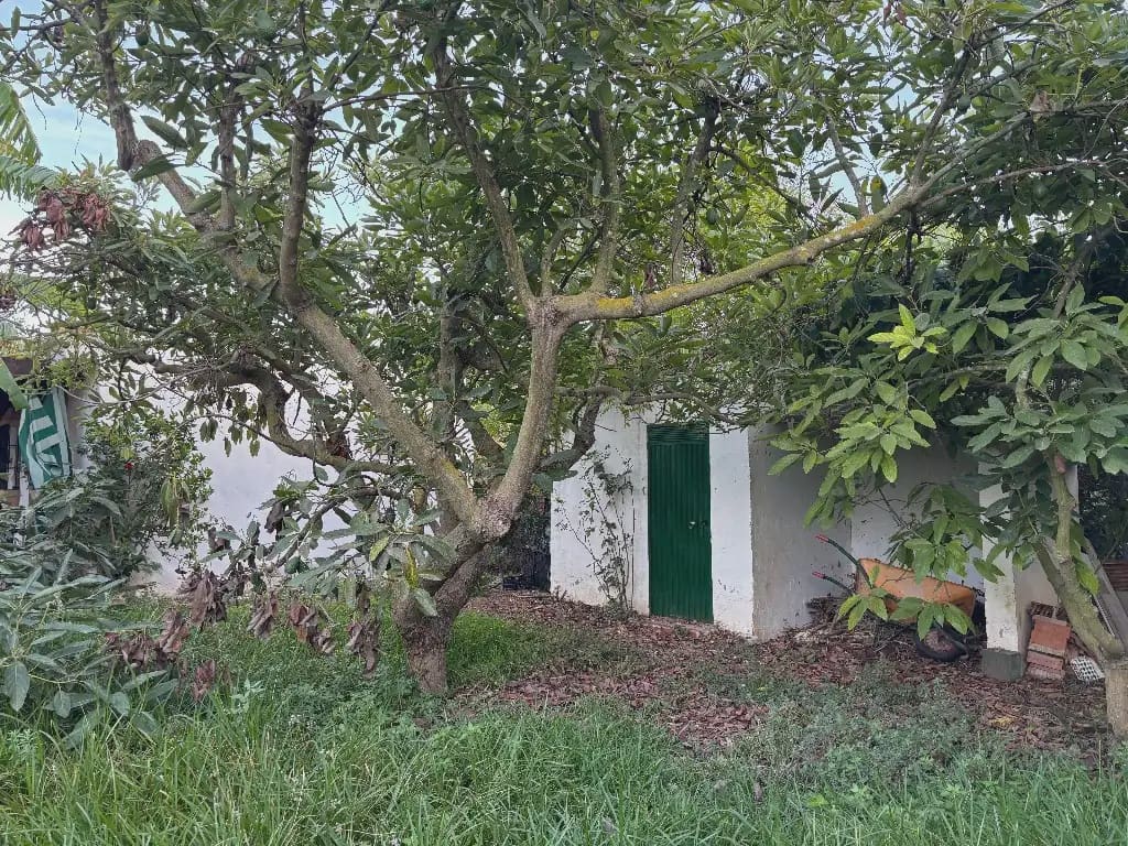 1 camera da letto Finca/Casa di Campagna in vendita in Nerja con piscina garage - 315.000 € (Rif: 10101405)