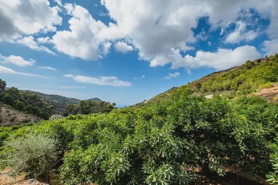 1 soveværelse Finca/Landehus til salg i Nerja med garage - € 415.000 (Ref: 10144865)