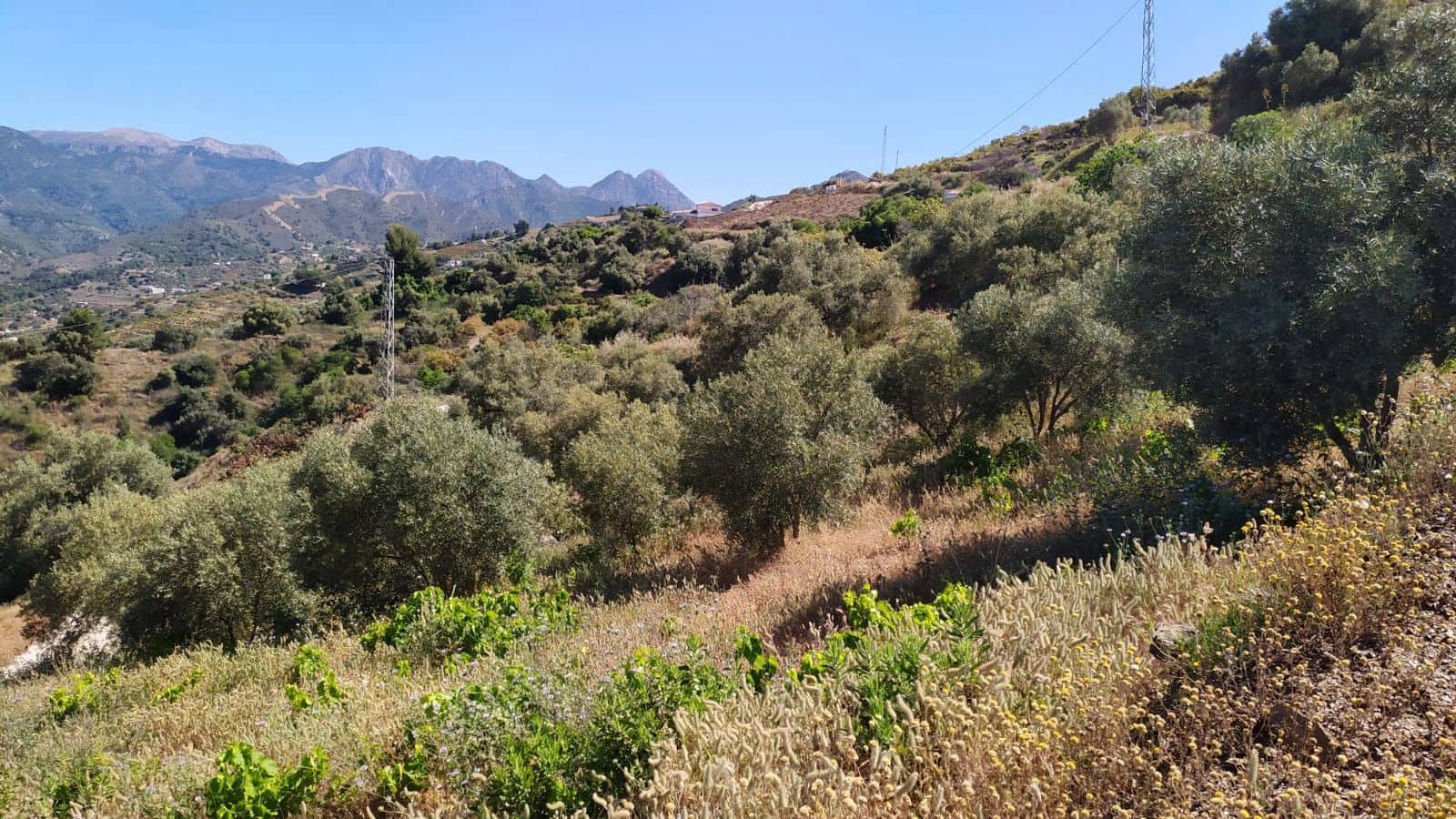 2 chambre Finca/Maison de Campagne à vendre à Torrox avec piscine garage - 350 000 € (Ref: 8998140)