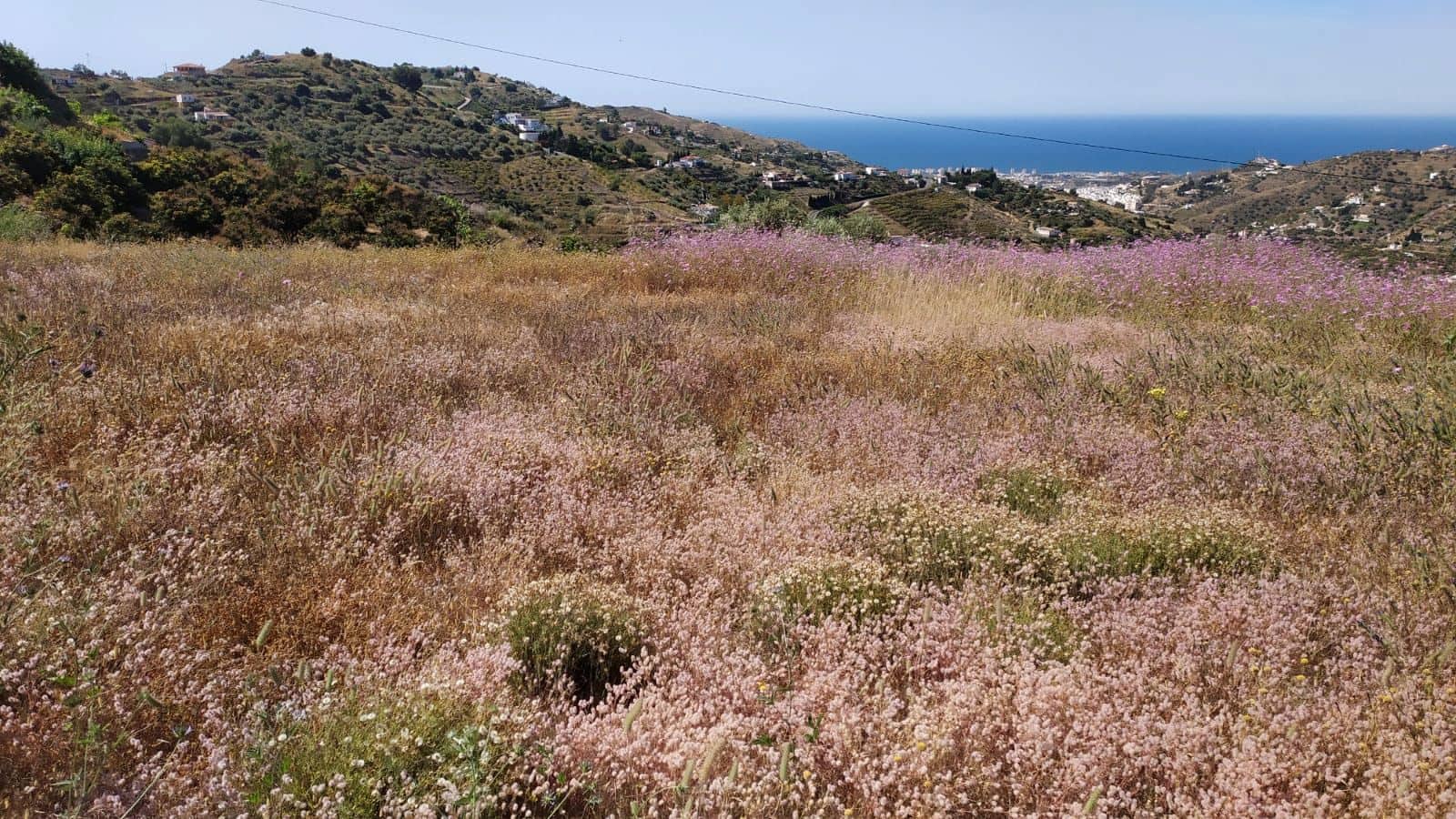 2 chambre Finca/Maison de Campagne à vendre à Torrox avec piscine garage - 350 000 € (Ref: 8998140)