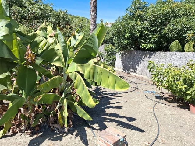 1 quarto Quinta/Casa Rural para venda em Frigiliana com piscina garagem - 365 000 € (Ref: 9231384)