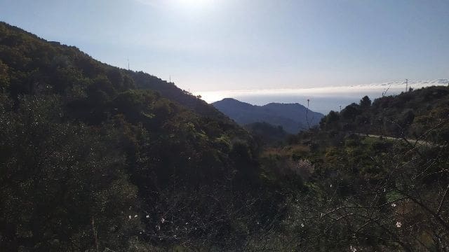 Terre non Aménagée à vendre à Nerja - 50 000 € (Ref: 9511214)