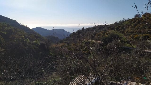 Terre non Aménagée à vendre à Nerja - 50 000 € (Ref: 9511214)