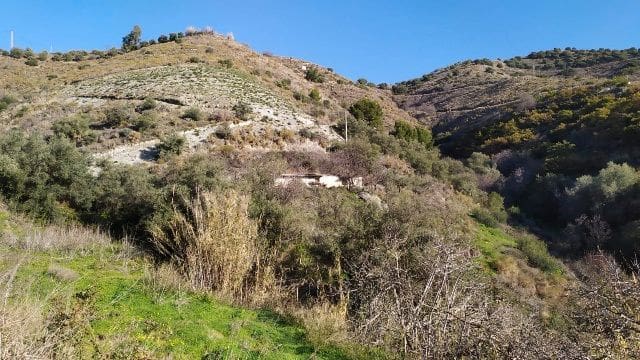 Terre non Aménagée à vendre à Nerja - 50 000 € (Ref: 9511214)