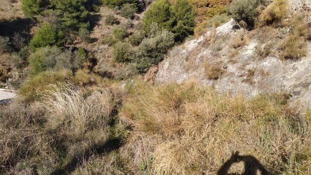 Terre non Aménagée à vendre à Maro - Cuevas de Nerja, Nerja - 50 000 € (Ref: 9511214)