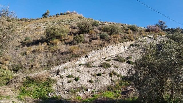 Terre non Aménagée à vendre à Nerja - 50 000 € (Ref: 9511214)