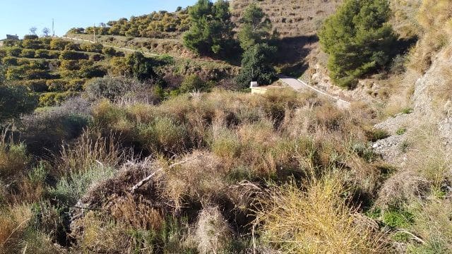 Terre non Aménagée à vendre à Nerja - 50 000 € (Ref: 9511214)