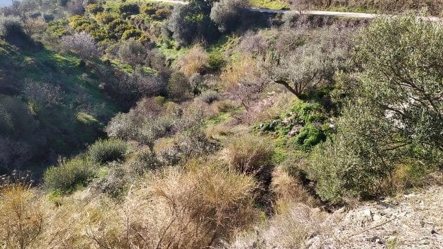 Terre non Aménagée à vendre à Maro - Cuevas de Nerja, Nerja - 50 000 € (Ref: 9511214)