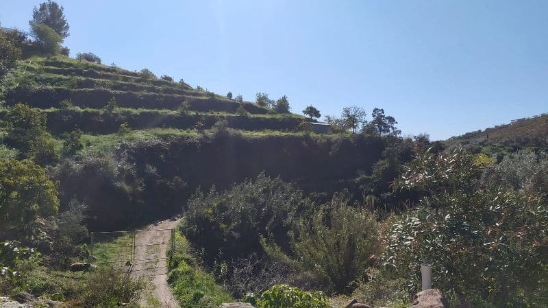 2 soveværelse Finca/Landehus til salg i Frigiliana med garage - € 265.000 (Ref: 9620600)