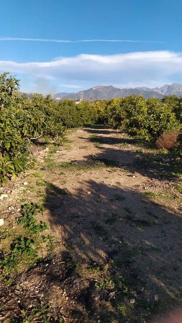 Terreno/Finca Rústica en Nerja en venta - 289.000 € (Ref: 9650366)