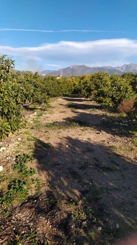 Terreno/Finca Rústica en Maro - Cuevas de Nerja, Nerja en venta - 289.000 € (Ref: 9650366)