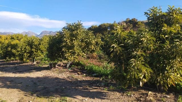 Terreno/Finca Rústica en Nerja en venta - 289.000 € (Ref: 9650366)