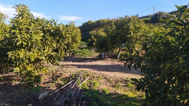 Terreno/Finca Rústica en Maro - Cuevas de Nerja, Nerja en venta - 289.000 € (Ref: 9650366)