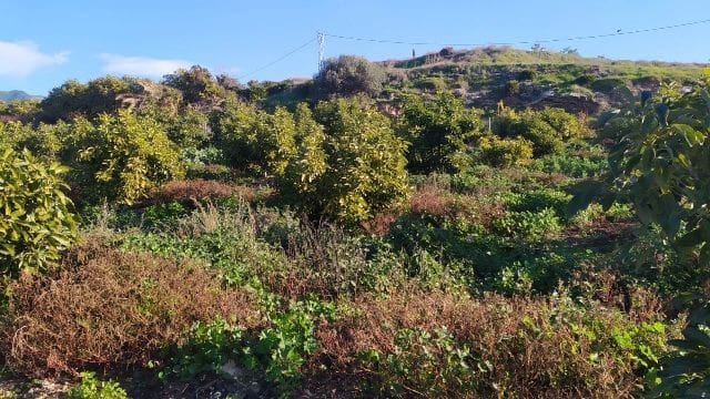 Terreno/Finca Rústica en Nerja en venta - 289.000 € (Ref: 9650366)