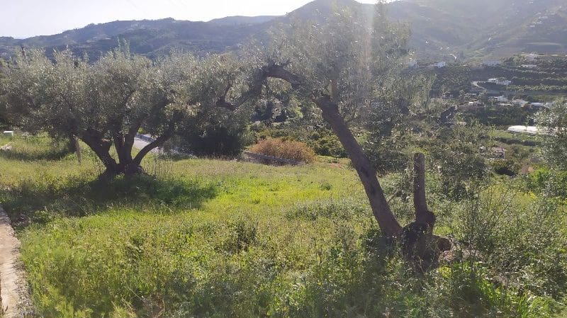 Landgrundstück zu verkaufen in Frigiliana - 41.000 € (Ref: 9654422)