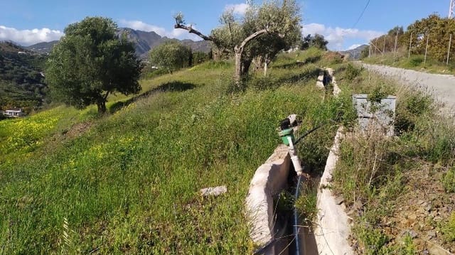 Landgrundstück zu verkaufen in Frigiliana - 41.000 € (Ref: 9654422)