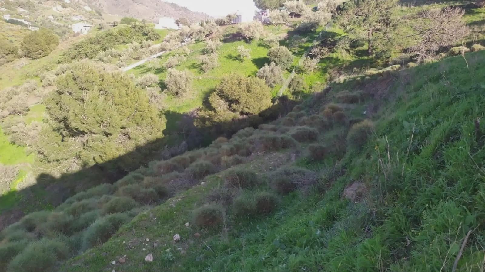 Terreno/Finca Rústica en Frigiliana en venta - 246.000 € (Ref: 9743972)