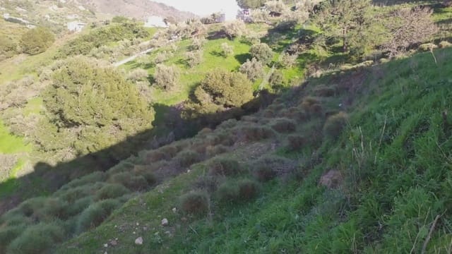 Grond te koop in Frigiliana - € 246.000 (Ref: 9743972)