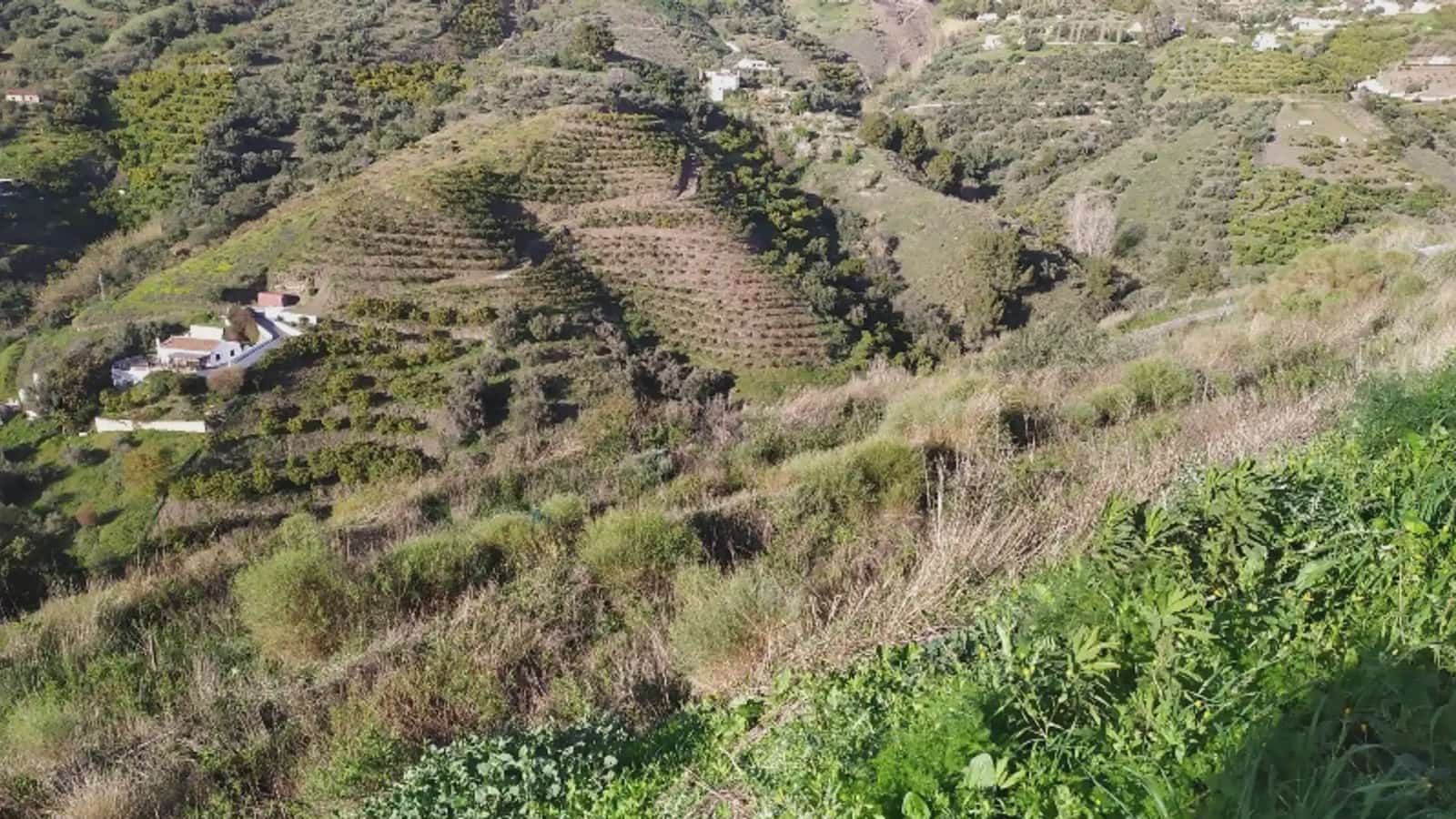 Terreno/Finca Rústica en Frigiliana en venta - 246.000 € (Ref: 9743972)