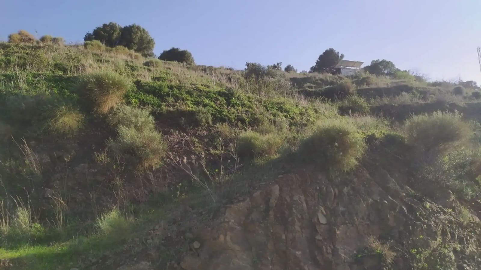 Terreno/Finca Rústica en Frigiliana en venta - 246.000 € (Ref: 9743972)